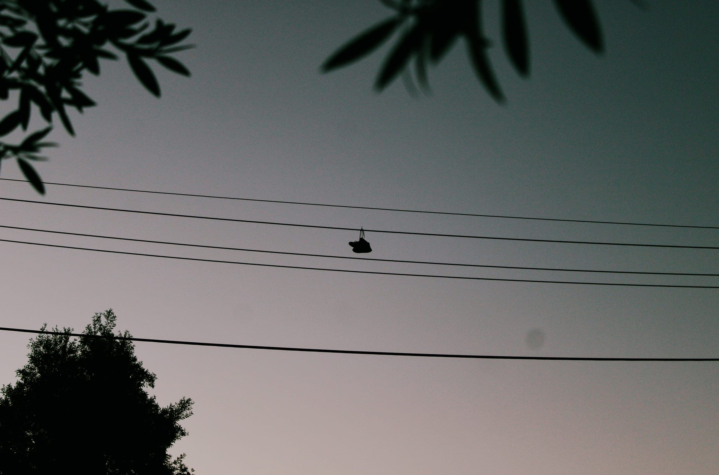 Perth, January 11